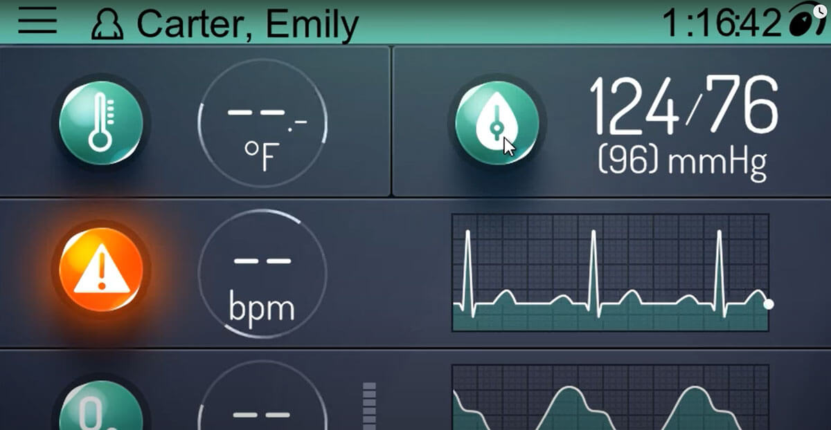 Green Zen Health Monitor GUI Screen Capture
